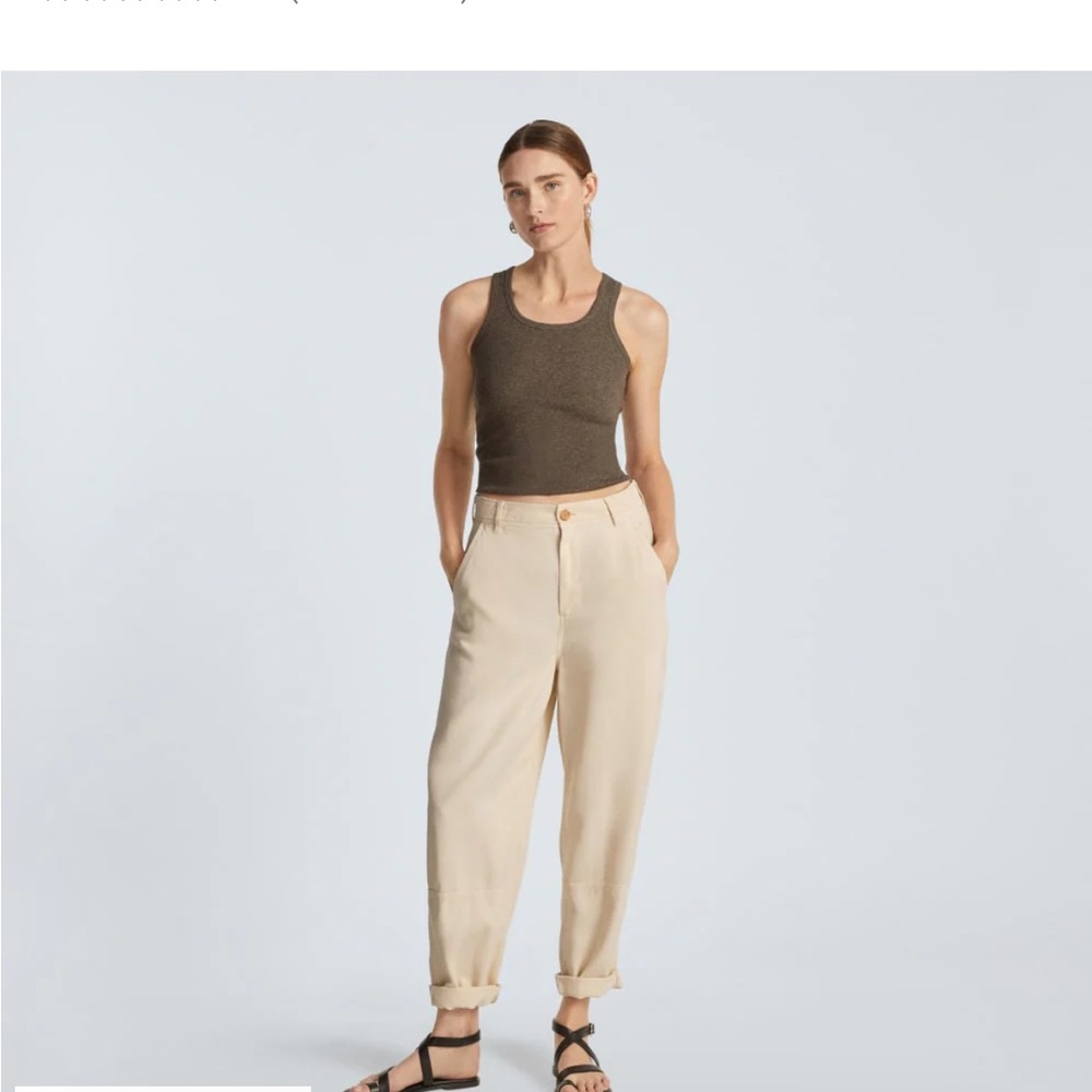Everlane The Relaxed Chino